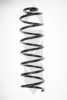 SPIDAN 56605 Coil Spring